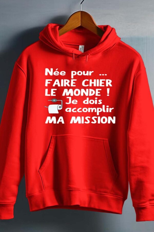 Sweat Capuche Garçon en Gros | Néé chier