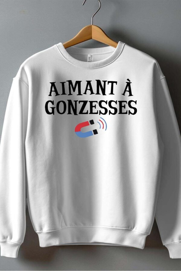 Sweat Col Rond Garçon en Gros | Aimant Gonzesses
