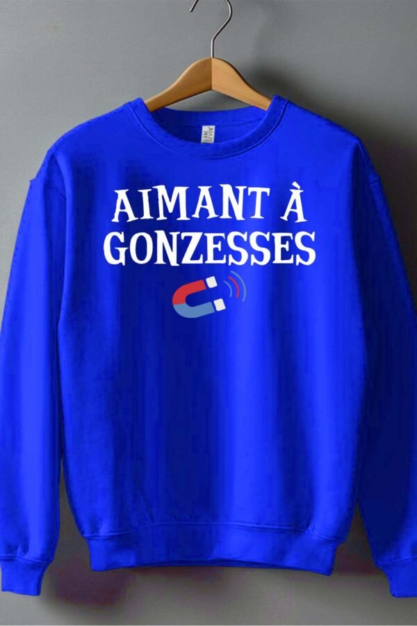 Sweat Col Rond Garçon en Gros | Aimant Gonzesses