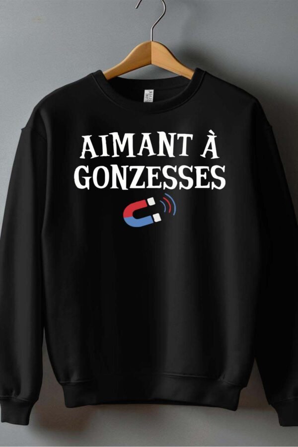 Sweat Col Rond Garçon en Gros | Aimant Gonzesses