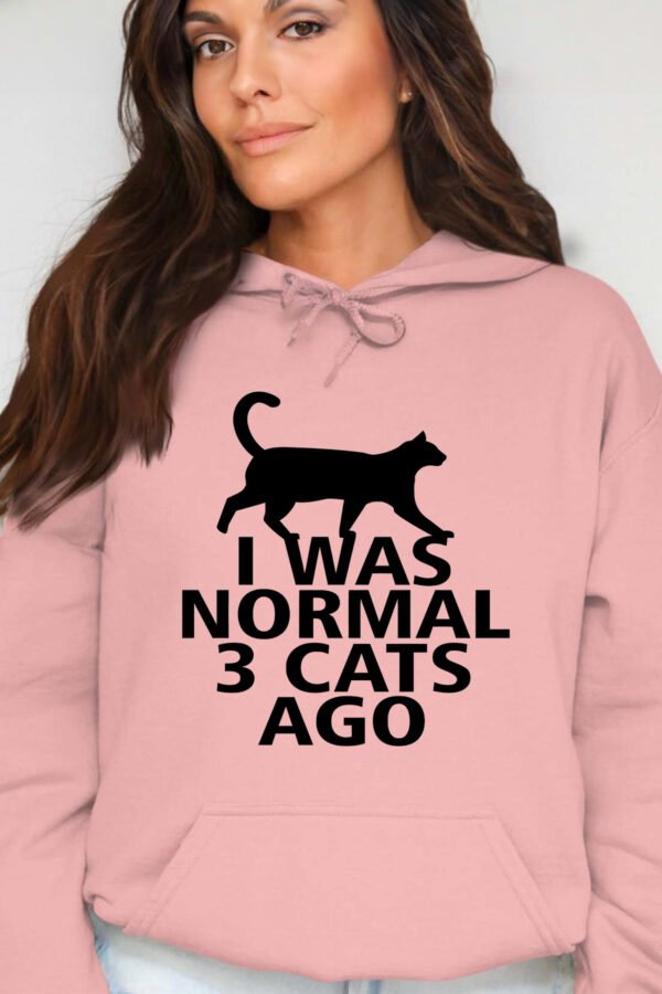 3 cat ago  - Sweat Capuche Femme