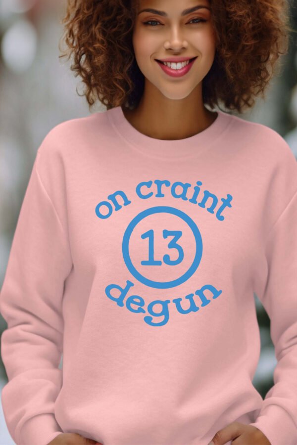 Sweat Col Rond Femme en Gros | Craint dégun