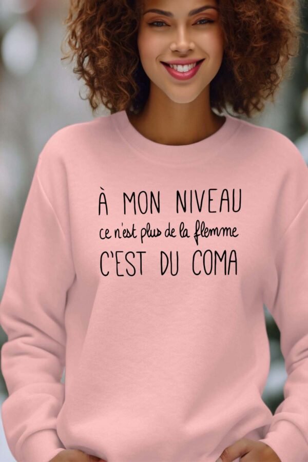 Sweat Col Rond Femme en Gros | Flemme coma