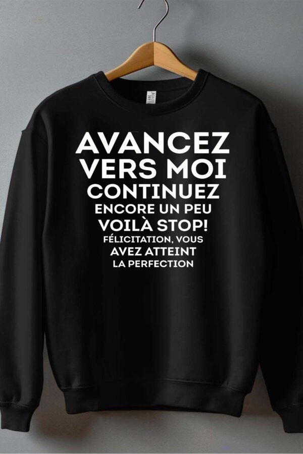 Atteint perfection - Sweat Col Rond Homme
