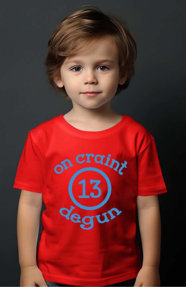 T-shirt Garçon en Gros | On craint degun