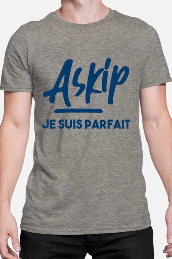 Askip je suis parfait - Tshirt Homme