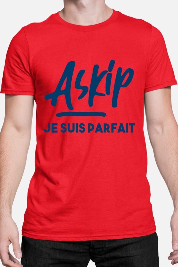 Askip je suis parfait - Tshirt Homme