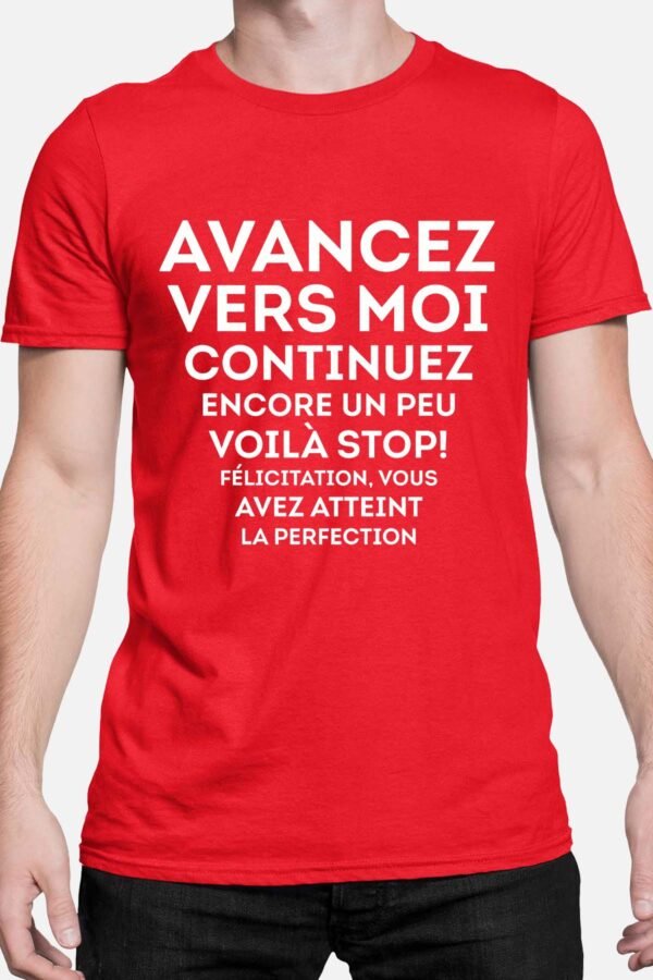 Avancez vers moi vous avez atteint la perfection - Tshirt Homme