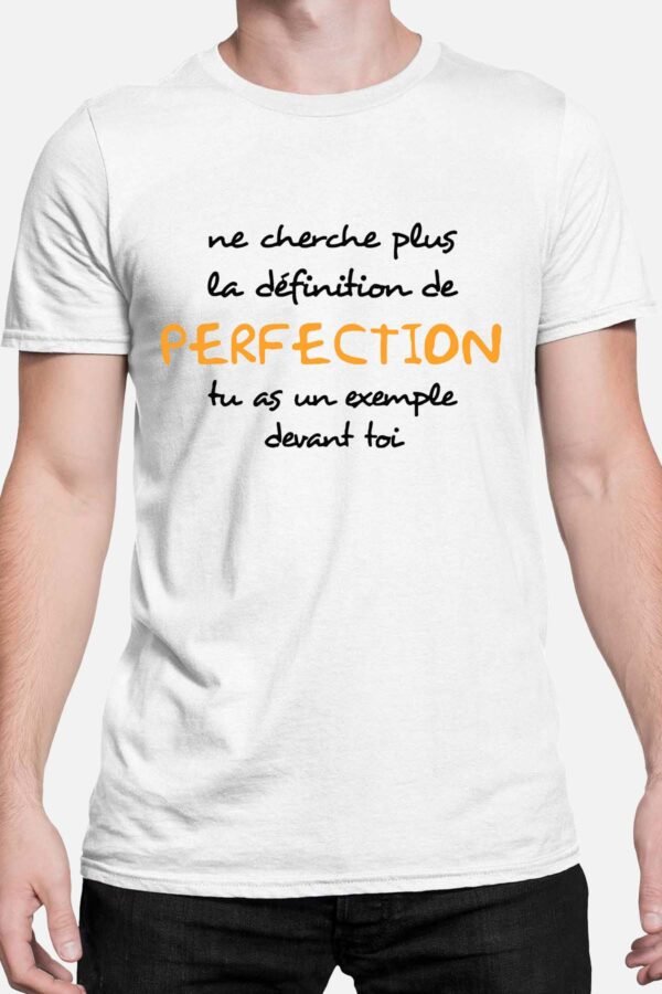 Ne cherche plus la définition de perfection - Tshirt Homme