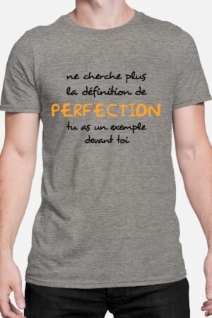 perfection cherche plus – Tshirt Homme – Gris