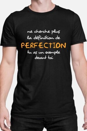 Ne cherche plus la définition de perfection - Tshirt Homme