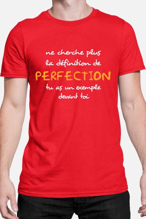 Ne cherche plus la définition de perfection - Tshirt Homme