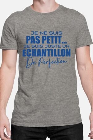 VH Échantillon Perfection – Tshirt Homme – Gris