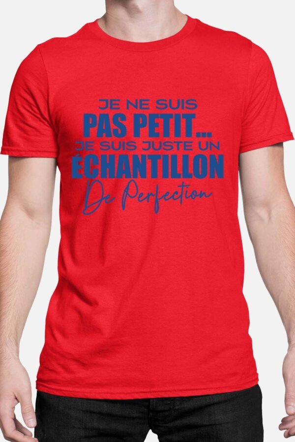 Echantillon de perfection - Tshirt Homme