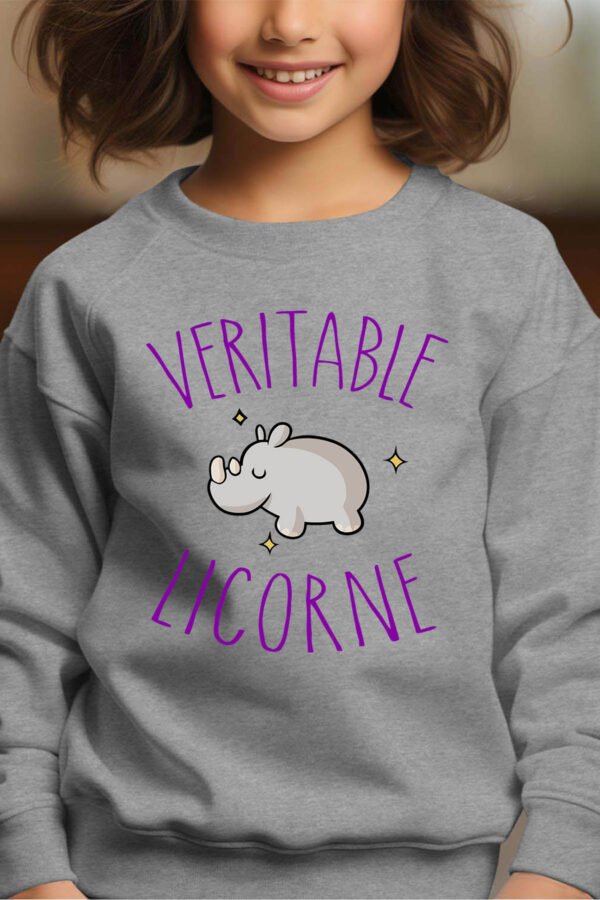 Sweat Col Rond Fille en Gros | Licorne hippo