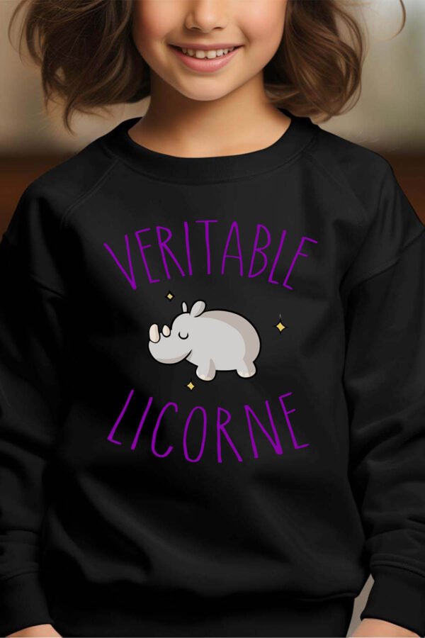 Sweat Col Rond Fille en Gros | Licorne hippo