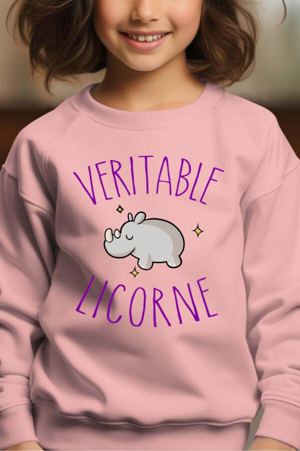 Sweat Col Rond Fille en Gros | Licorne hippo