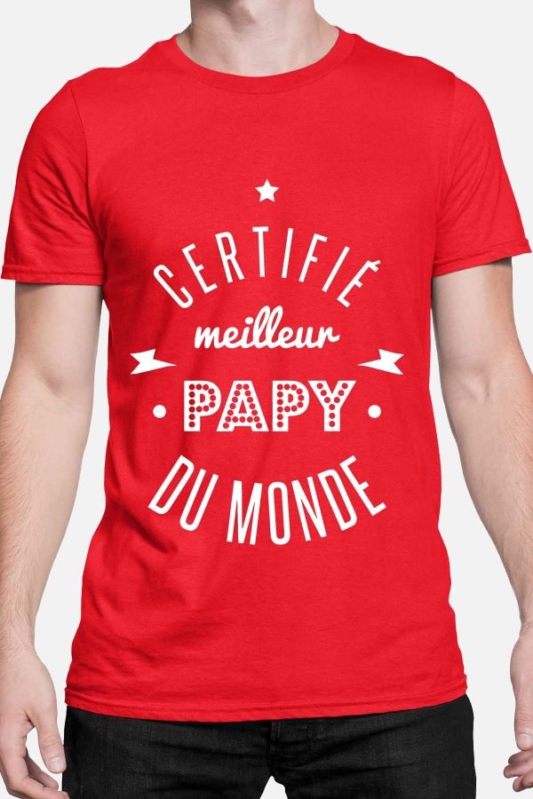 certifié papy monde - Tshirt Homme