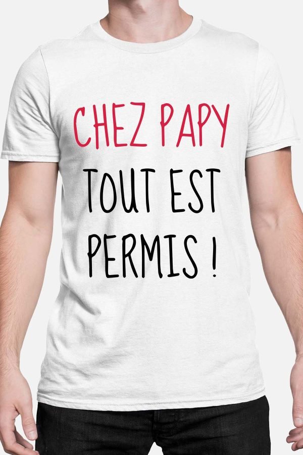 Papy tout permis - Tshirt Homme