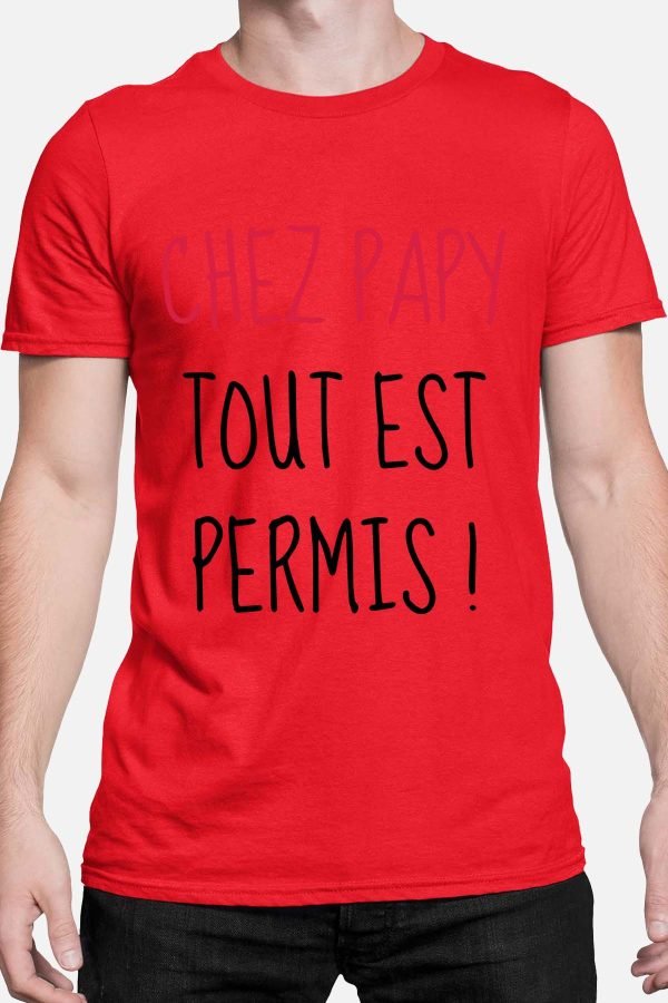 Papy tout permis - Tshirt Homme